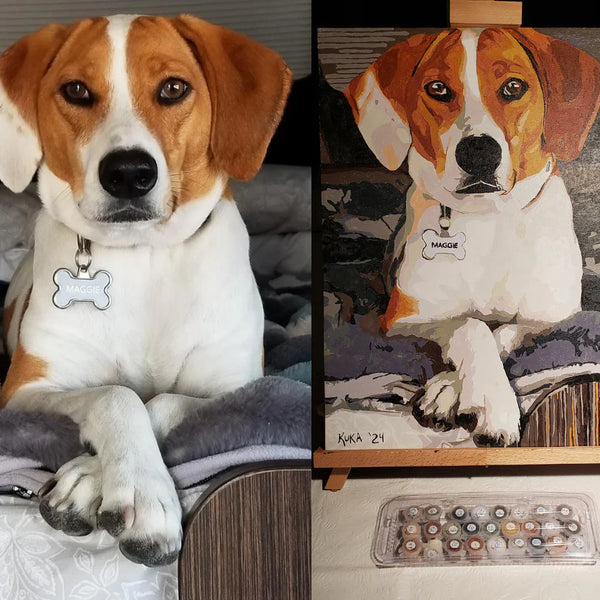 Custom Paint By Numbers